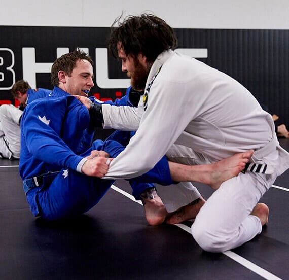 adult bjj