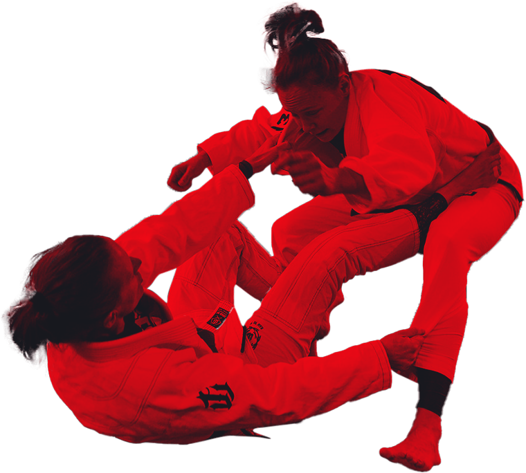 05 - HeroBanner-WomenMartialArts brazilian jiu jitsu